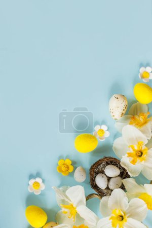 Foto de Happy Easter! Easter eggs in nest and daffodils flowers flat lay on blue background. Stylish festive template with space for text. Greeting card or banner - Imagen libre de derechos