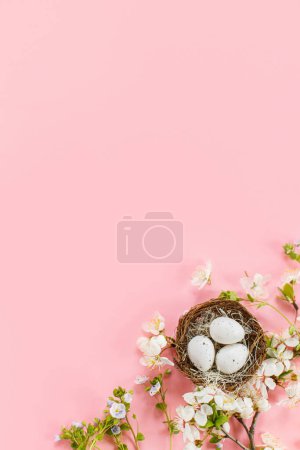 Foto de Elegantes huevos de Pascua en nido y flores de cerezo plana ponen sobre fondo rosa con espacio de copia. ¡Feliz Pascua! Tarjeta de felicitación plantilla. Banner moderno de vacaciones de primavera - Imagen libre de derechos