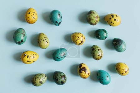 Foto de ¡Feliz Pascua! Pascuas planas. Elegantes huevos de Pascua sobre fondo azul. Natural pintado colorido huevos de codorniz composición. Tarjeta de felicitación moderna o banner - Imagen libre de derechos