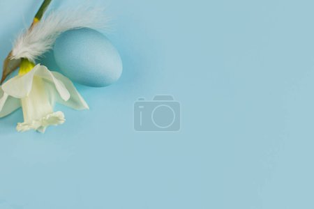 Foto de ¡Feliz Pascua! Huevo de Pascua y flor sobre fondo azul plano ponen. Mínima Pascua naturaleza muerta. Banner de primavera moderno o tarjeta de felicitación, espacio para el texto. Huevo azul natural, plumas y narcisos - Imagen libre de derechos
