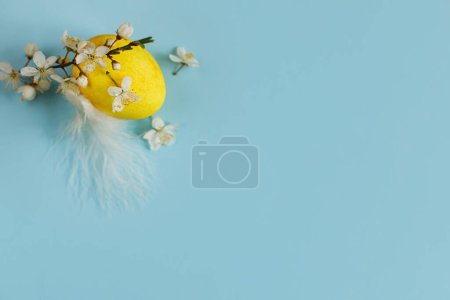 Photo for Happy Easter! Easter egg and blossom on blue background flat lay. Minimal Easter still life. Modern spring banner or greeting card, space for text. Natural yellow egg, feather and cherry branch - Royalty Free Image
