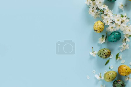 Foto de Elegantes huevos de Pascua y flores en flor sobre fondo azul plana ponen. ¡Feliz Pascua! Huevos de codorniz coloridos pintados naturales y flor de cerezo. Tarjeta de felicitación moderna o banner, espacio para copiar - Imagen libre de derechos