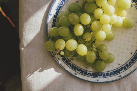 Téléchargez les photos : Fresh grapes in sunlight on ceramic plate flat lay. Healthy food aesthetics. Summer fruits in light on soft linen background. Summertime in countryside, moody banner - en image libre de droit