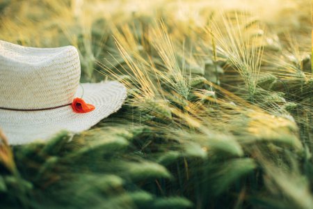 Téléchargez les photos : Chapeau de paille rustique et pavot rouge sur les oreilles d'orge dans le champ du soir fermer. Fleurs sauvages et chapeau de ferme dans la campagne estivale. Moment atmosphérique dans la prairie du soir - en image libre de droit