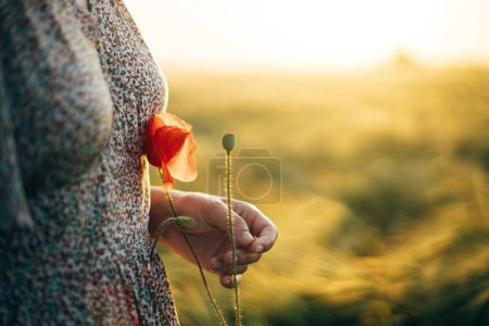 Foto de Hermosa mujer con flor de amapola de cerca de pie en el campo de cebada en la luz del atardecer. Elegante mujer relajándose en el campo de verano por la noche y recogiendo flores. Momento de tranquilidad atmosférica - Imagen libre de derechos