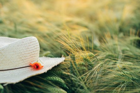 Téléchargez les photos : Campagne estivale. Chapeau de paille rustique et pavot rouge sur les oreilles d'orge dans la lumière du coucher du soleil dans les champs. Fleurs sauvages et chapeau de ferme ferment le soir prairie d'été. Moment atmosphérique - en image libre de droit
