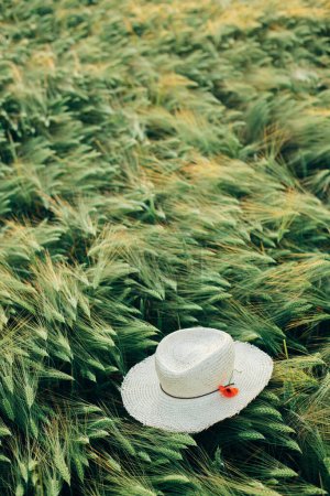 Photo for Rustic straw hat and red poppy on barley ears in evening field, view above. Wildflowers and farm hat in summer countryside. Atmospheric moment in evening meadow - Royalty Free Image