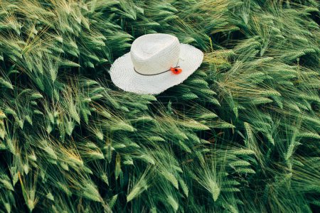 Téléchargez les photos : Chapeau rustique en paille et pavot rouge sur les épis d'orge dans le champ du soir, vue ci-dessus. Fleurs sauvages et chapeau de ferme dans la campagne estivale. Moment atmosphérique dans la prairie du soir - en image libre de droit