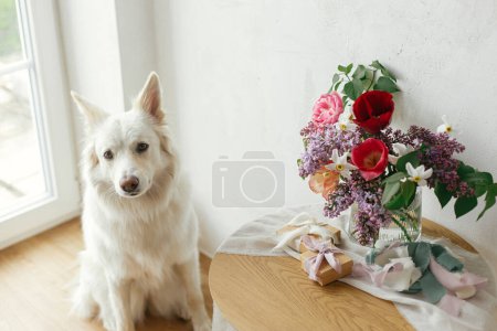 Photo for Happy Mothers day. Cute dog sitting at stylish bouquet with gift box and pastel ribbons on wooden table in modern rustic room. Pet and holidays. Happy Women's day. Adorable white danish spitz - Royalty Free Image