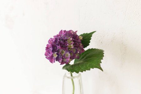 Photo for Stylish purple hydrangea on tile shelf on rustic wall background. Beautiful flowers in glass vase gathered from garden, summer floral arrangement in modern room in home. - Royalty Free Image