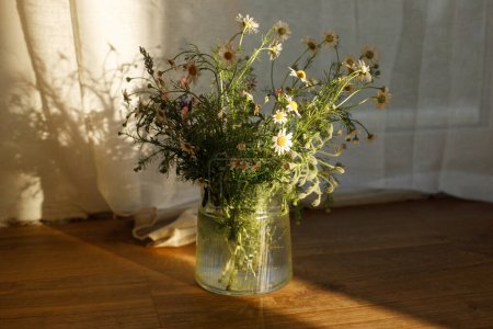 Téléchargez les photos : Élégant bouquet de fleurs sauvages dans la lumière du soleil du soir contre la fenêtre dans une pièce rustique. Belles fleurs d'été dans un vase recueilli du jardin, arrangement floral dans la maison de campagne - en image libre de droit