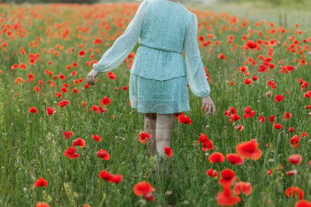 Téléchargez les photos : Femme en robe florale marchant dans le champ de pavot en soirée campagne d'été. Moment atmosphérique. Jeune femelle se relaxant et cueillant des fleurs sauvages dans la prairie. La vie rurale simple - en image libre de droit