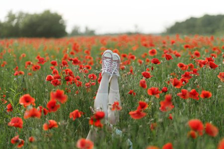 Photo for Woman legs in pink sneakers among poppy flowers in evening summer countryside, close up. Atmospheric moment. Young female relaxing among wildflowers in meadow. Rural simple life - Royalty Free Image