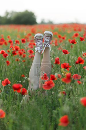 Photo for Woman legs in pink sneakers in poppy field in evening summer countryside, close up. Young female relaxing among wildflowers in meadow. Carefree and summer vacation, funny moment - Royalty Free Image