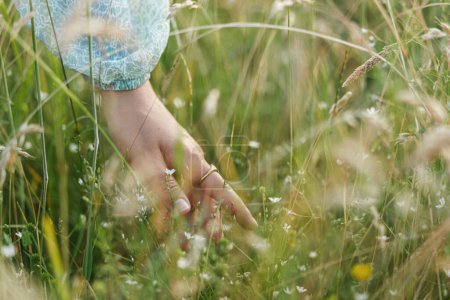 Foto de Mujer mano entre la flor silvestre en la hierba en el campo de verano, de cerca. Momento atmosférico despreocupado. Joven hembra recogiendo flores silvestres en el prado. Vida rural sencilla - Imagen libre de derechos