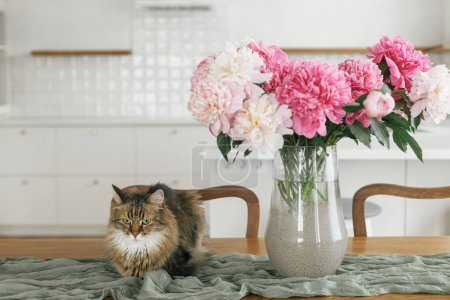 Foto de Lindo gato sentado en hermosas peonías en jarrón en la mesa de madera en el fondo de la elegante cocina blanca moderna en la nueva casa escandinava. Arreglo floral para mascotas y verano - Imagen libre de derechos