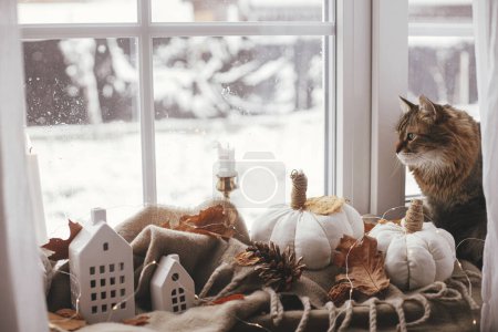 Téléchargez les photos : Cute cat sitting at pumpkins pillows, fall leaves, candle, lights on cozy brown scarf on windowsill. Adorable tabby cat relaxing on background of hygge fall home decor. Happy Thanksgiving - en image libre de droit