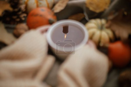 Téléchargez les photos : Candle reflected in warm cup of tea in cozy hands in sweater with stylish pumpkins, fall leaves bokeh on scarf. Autumn hygge. Fall home decor. Happy Thanksgiving - en image libre de droit