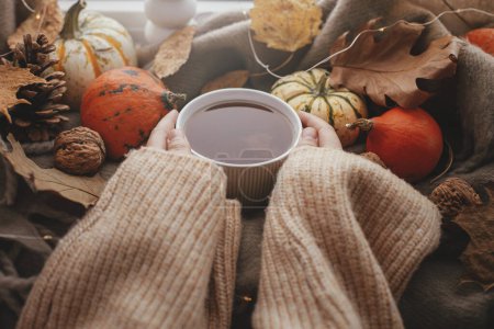 Téléchargez les photos : Cozy Autumn. Hands in sweater holding warm cup of tea with stylish pumpkins, fall leaves, lights on brown scarf on windowsill. Autumn hygge, fall home decor. Happy Thanksgiving - en image libre de droit