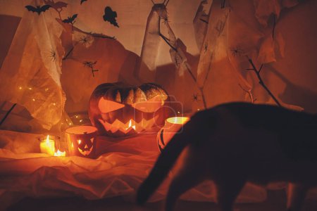 Photo for Spooky Jack o lantern pumpkin and cat silhouette, spider web, ghost, bats and glowing light in dark. Happy Halloween! Scary atmospheric halloween party decorations. Trick or treat - Royalty Free Image