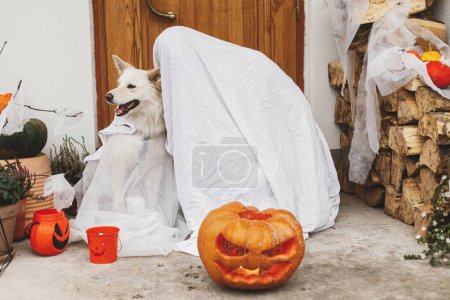 Téléchargez les photos : Fantôme effrayant et chien mignon avec Jack o lanterne devant la maison avec des décorations d'Halloween effrayantes sur le porche. Trucs ou friandises ! Une personne et un chiot habillés en fantôme ou en traitement. Joyeux Halloween! - en image libre de droit