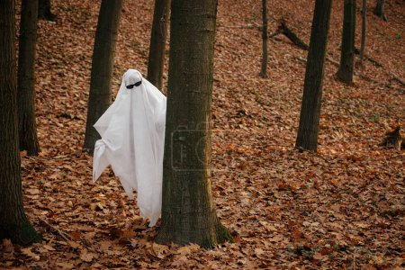 Photo for Funny ghost with black glasses peeking out of a tree in moody autumn forest. Person dressed with white sheet as stylish ghost trick or treating in evening fall woods. Happy Halloween! - Royalty Free Image