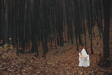 Téléchargez les photos : Fantôme effrayant tenant lanterne lumineuse dans la forêt d'automne sombre et humide. Personne habillée en drap blanc comme fantôme avec de la lumière dans les bois d'automne du soir. Joyeux Halloween ! Trick ou traiter - en image libre de droit