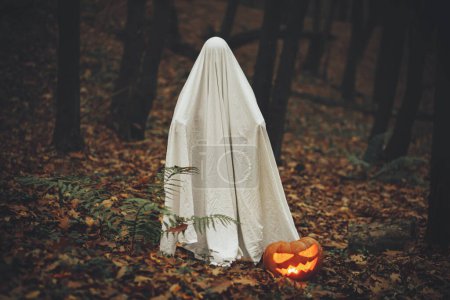 Téléchargez les photos : Fantôme effrayant avec Jack o lanterne rougeoyante dans la forêt d'automne sombre et humide. Personne habillée en drap blanc comme fantôme avec citrouille debout dans les bois d'automne du soir. Joyeux Halloween ! Trick ou traiter - en image libre de droit