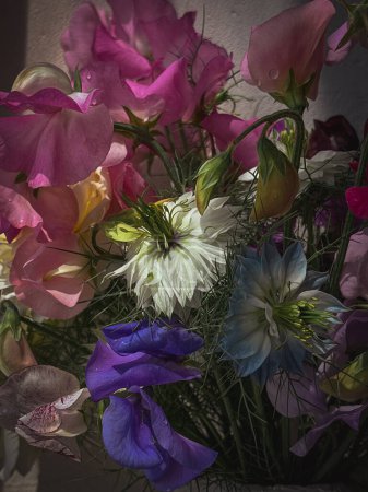 Téléchargez les photos : Fleurs Nature morte. Belles fleurs colorées sur fond humide. Composition artistique élégante de lathyrus doux, amour dans la brume, rose. Incroyable papier peint vertical floral - en image libre de droit