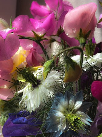 Foto de Flores Naturaleza muerta. Hermosas flores de colores sobre fondo malhumorado. Elegante composición artística de lathyrus suave, amor en la niebla, rosa. Increíble fondo de pantalla vertical floral - Imagen libre de derechos