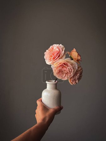 Photo for Hand holding beautiful pastel roses in vase on rustic background. Stylish flowers still life, artistic composition. Floral vertical wallpaper - Royalty Free Image