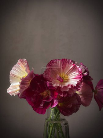 Téléchargez les photos : Beau bouquet d'eschscholzia à la lumière du soleil sur fond rustique et humide. Fleurs élégantes nature morte, composition artistique. Fond d'écran vertical floral - en image libre de droit