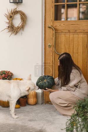 Téléchargez les photos : Femme en pull tricoté tenant citrouille et jouant avec chien mignon à l'entrée de la maison décorée de chrysanthèmes d'automne et bruyère. Propriétaire jouer avec animal de compagnie - en image libre de droit