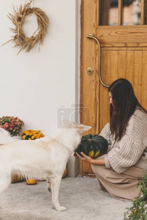 Foto de Mujer en jersey de punto sosteniendo calabaza y jugando con lindo perro en la entrada de la casa decorada con crisantemos de otoño y brezo. Propietario jugando con mascota - Imagen libre de derechos