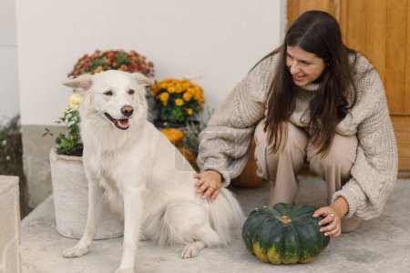 Téléchargez les photos : Femme heureuse en pull tricoté caressant chien mignon à l'entrée de la maison décorée de citrouilles d'automne, pots avec chrysanthèmes et bruyère. Propriétaire jouer avec animal de compagnie - en image libre de droit