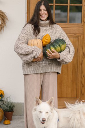 Téléchargez les photos : Femme heureuse en pull tricoté tenant de grandes citrouilles d'automne pour la décoration d'entrée de la maison. Femme élégante décorant avec son chien ferme porte d'entrée. Arrangement d'automne - en image libre de droit