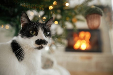 Foto de Lindo gato sentado bajo un elegante árbol de Navidad con adornos vintage en el fondo de la chimenea en llamas. Adorable gato relajante en navidad sala de estar decorada festiva. Mascotas y vacaciones de invierno - Imagen libre de derechos