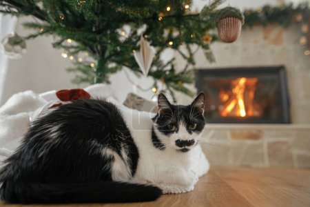 Photo for Cute cat sitting under stylish christmas tree gifts on background of burning fireplace. Adorable cat relaxing in christmas festive decorated living room. Pets and winter holidays - Royalty Free Image
