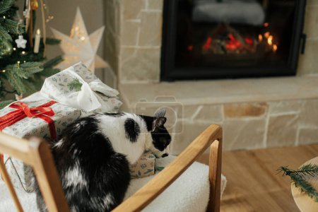 Photo for Adorable cat sleeping on stylish gifts on modern chair, relaxing on background of burning fireplace and decorated christmas tree. Pet and winter holidays. Atmospheric cozy christmas eve - Royalty Free Image