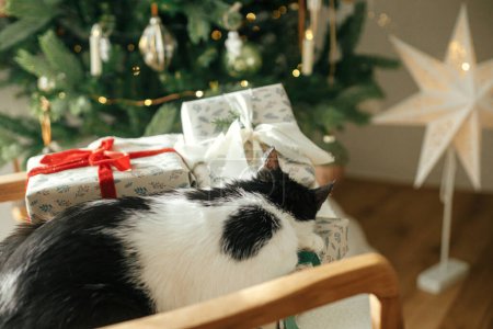 Téléchargez les photos : Adorable chat dormant sur des cadeaux élégants sur une chaise moderne, relaxant sur fond d'arbre de Noël décoré élégant. Animaux de compagnie et vacances d'hiver. Atmosphérique confortable veille de Noël - en image libre de droit