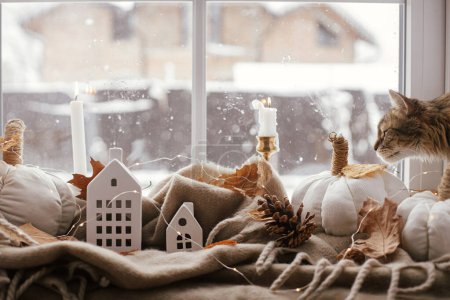 Foto de Cute cat looking in window and sitting with pumpkins pillows, fall leaves, candle, lights on cozy scarf on windowsill. Pet and cozy autumn in home. Adorable tabby cat relaxing at hygge fall decor - Imagen libre de derechos