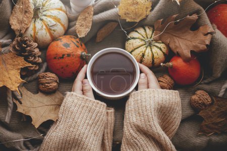 Téléchargez les photos : Pose d'automne plat. Mains en pull confortable tenant une tasse de thé chaude avec des citrouilles élégantes, des feuilles d'automne, des lumières sur l'écharpe brune sur le rebord de la fenêtre. Hygge d'automne, décor d'automne. Joyeux Thanksgiving - en image libre de droit