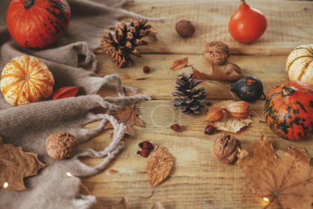 Photo for Autumn still life. Cute pumpkins, autumn leaves, cones, walnuts, cozy scarf and lights on rustic wooden table in farmhouse. Fall in rural home. Happy Thanksgiving. Fall banner - Royalty Free Image