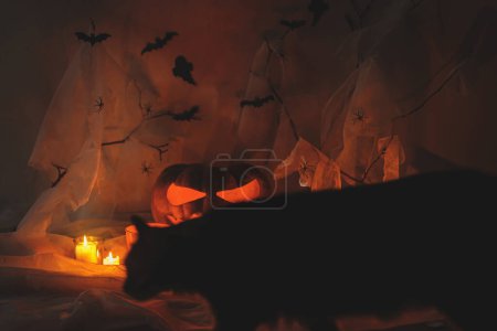 Photo for Happy Halloween! Spooky Jack o lantern pumpkin and cat silhouette, spider web, ghost, bats and glowing lights in dark. Scary atmospheric halloween party decorations and cat. Trick or treat - Royalty Free Image
