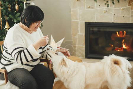 Photo for Happy senior woman playing with adorable white dog in stylish festive christmas living room. Beautiful woman enjoying cozy fireplace with cute pet on background of decorated christmas tree - Royalty Free Image