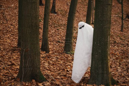 Téléchargez les photos : Joyeux Halloween ! Fantôme drôle avec des lunettes noires regardant hors d'un arbre dans la forêt d'automne humide. Personne habillée avec un drap blanc comme tour de fantôme élégant ou traiter dans les bois d'automne du soir. - en image libre de droit