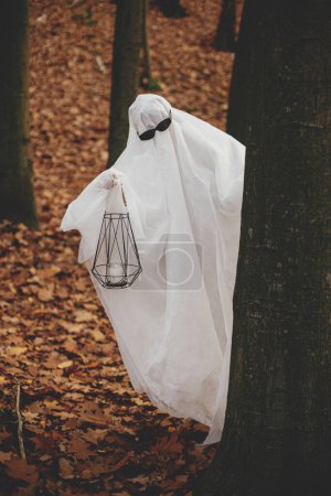 Téléchargez les photos : Fantôme drôle dans des lunettes noires tenant lanterne et regardant hors d'un arbre dans la forêt d'automne. Personne vêtue de drap blanc comme astuce fantôme élégant ou traiter dans les bois d'automne du soir. Joyeux Halloween - en image libre de droit