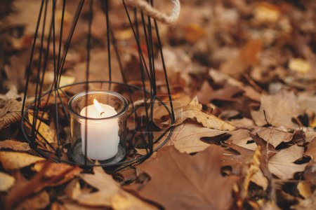 Téléchargez les photos : Lanterne noire minimaliste moderne avec bougie allumée sur fond de feuilles d'automne en forêt. Bonjour Fall ! Lanterne brillante dans les bois d'automne humides. Espace de copie. Heure d'Halloween - en image libre de droit
