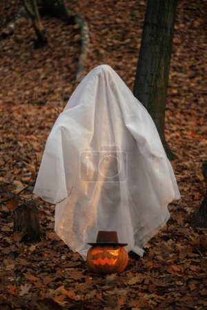 Téléchargez les photos : Joyeux Halloween ! Élégant fantôme et Jack o lanterne dans la forêt d'automne humide. Personne habillée en drap blanc comme fantôme avec citrouille debout dans les bois d'automne du soir. Trick ou traiter - en image libre de droit