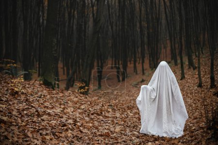 Téléchargez les photos : Joyeux Halloween ! Fantôme effrayant debout dans la forêt d'automne sombre et humide. Personne habillée en drap blanc comme fantôme dans les bois d'automne du soir. Boum ! Temps d'horreur - en image libre de droit